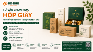 Tư Vấn Chọn Mua Hộp Giấy Phù Hợp Cho Doanh Nghiệp Mới Bắt Đầu