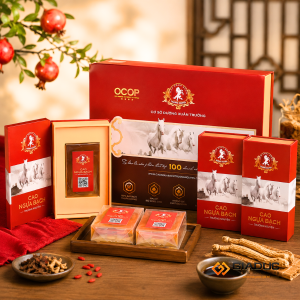 in hộp cứng đựng cao ngựa