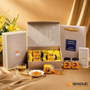 in hộp cứng đựng đông trùng hạ thảo
