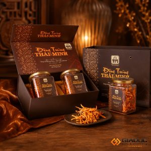 in hộp cứng đựng đông trùng hạ thảo
