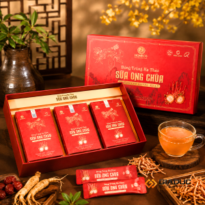 in hộp cứng đựng đông trùng hạ thảo