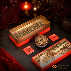 in hộp cứng đựng đông trùng hạ thảo