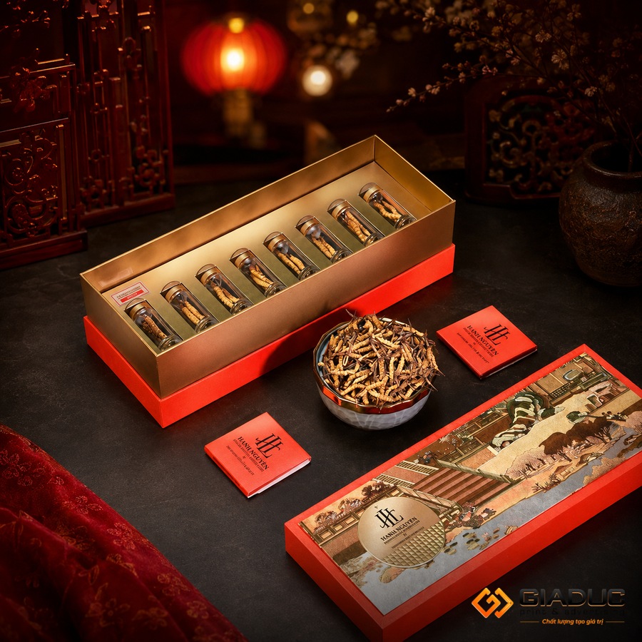 in hộp cứng đựng đông trùng hạ thảo