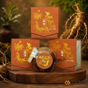 in hộp cứng đựng linh chi