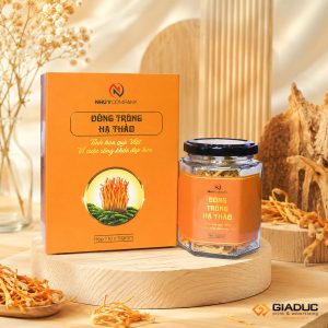 in hộp giấy đựng đông trùng hạ thảo
