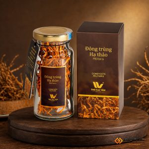 in hộp giấy đựng đông trùng hạ thảo