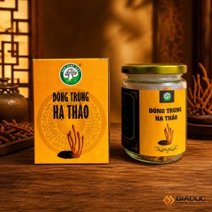 in hộp giấy đựng đông trùng hạ thảo