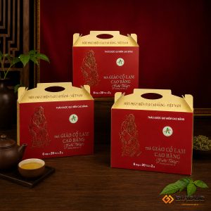in hộp giấy đựng dược phẩm giảo cổ lam
