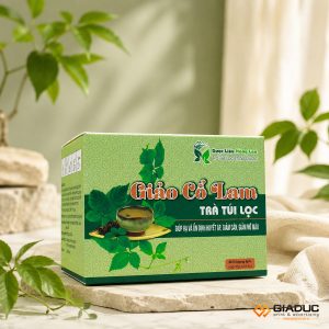in hộp giấy đựng dược phẩm giảo cổ lam