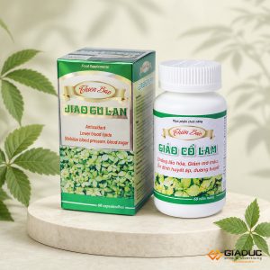 in hộp giấy đựng dược phẩm giảo cổ lam
