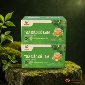in hộp giấy đựng dược phẩm giảo cổ lam