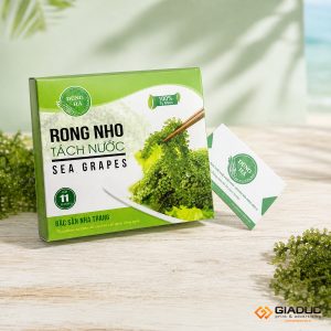 in hộp giấy đựng thuốc