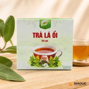 in hộp giấy đựng thuốc nam