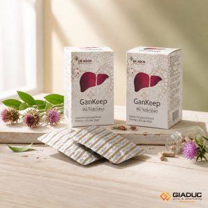 in hộp giấy giải độc gan