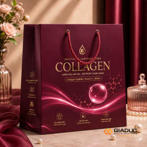 in túi giấy đựng collagen 1