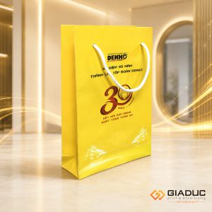 in túi giấy hội nghị (1)